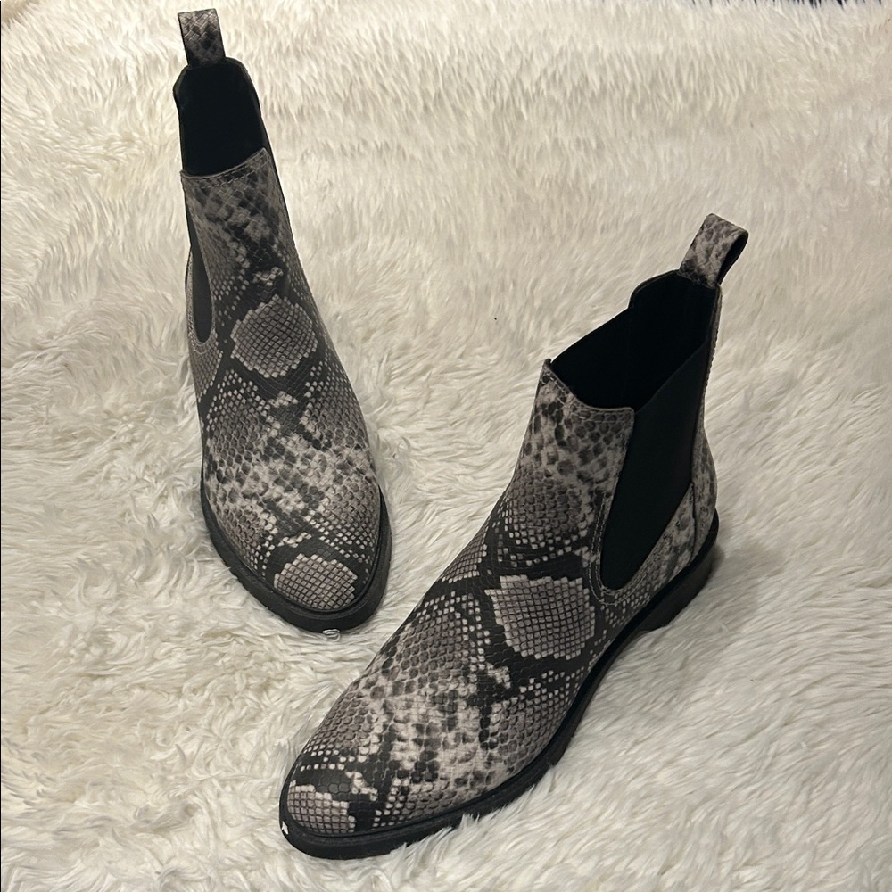 Treasure & Bond Black and Gray Snakeskin Ankle Boots